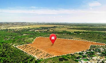Drone Surveys